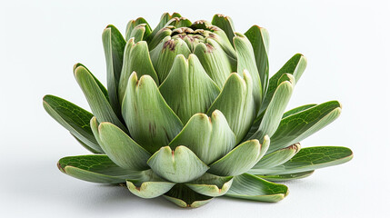Fototapeta premium Vibrant Single Artichoke with Green Leaves