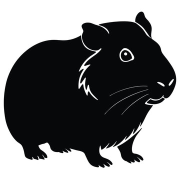 Guinea pig animal art