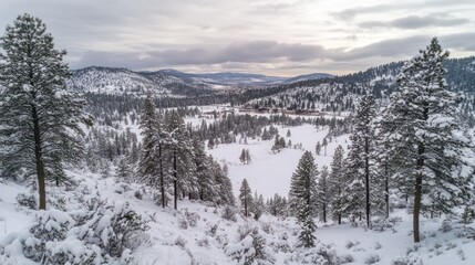 Obraz premium A serene winter landscape with snow-covered trees and a valley under a cloudy sky.