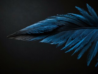 Naklejka premium Close-up of a blue feather against a black background.