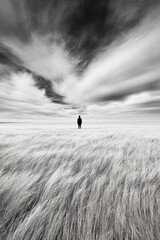 Fototapeta premium A lone figure stands in a vast, windswept field under dramatic skies, AI