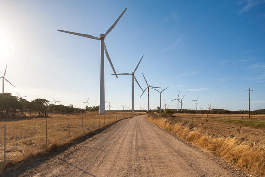 wind turbines farm in daytime sustainable energy