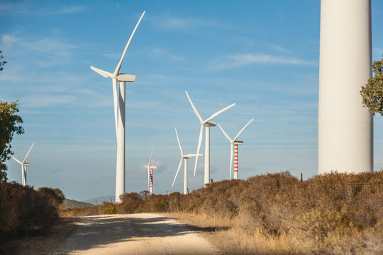 wind farm renewable sustainable energy, clean environment, future, progress