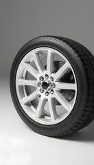 Obraz premium wheel wellbeing isolated with white highlights, png