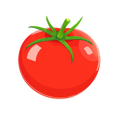 Fresh cartoon farming tomatoes whole, half and sliced isolated on white background, Tomato. Whole and half cut tomatoes. Vector cartoon illustration. Vegetables pile Isolated on White background