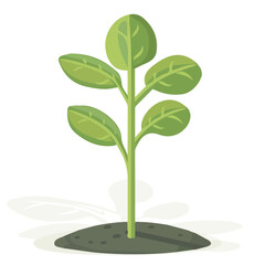 Fototapeta premium Simple flat 2D icon spinach isolated on transparent background, vector, flat design, animation design, vector, flat design, animation design, simple flat 2D icon, minimalist design, clipart