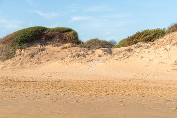 The sandy beach and dunes of Santa Maria del Focallo, on the shore of Mediterranean sea, municipality of Ispica, province of Ragusa, Sicily