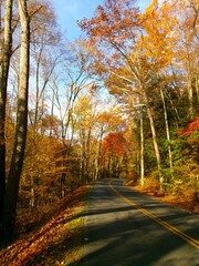 Fototapeta premium Mountain Road in Autumn