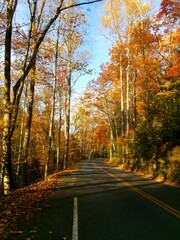 Obraz premium Fall Mountain Road