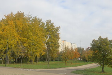 autumn in the landscape park Yuzhnoye Butovo, Moscow, October 2024, 3