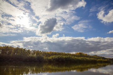 landscape sandy beach on the bank of the river Desna in Chernigov, dense forest behind the river