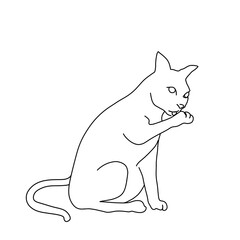 line art of a cute cat licking its paw on a white background