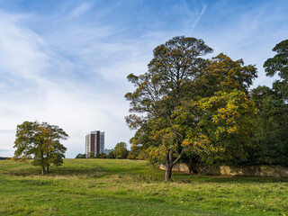 Obraz premium Green field with trees and a block of flats or apartments, UK