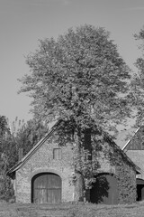 Herbstfarben im Münsterland