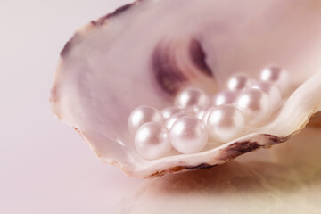 Beautiful white pearls on an oyster shell.