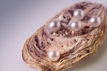 Beautiful white pearls on an oyster shell.