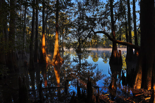 Caddo Lake State Park, with the beautiful scenes of the fall colors in the cypress trees and Spanish moss makes for a great visit.
