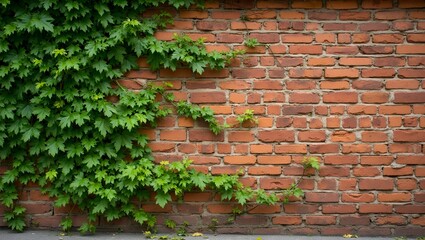 Vibrant green ivy climbing a red brick wall