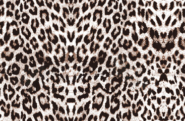 leopard seamless pattern with leopard print
