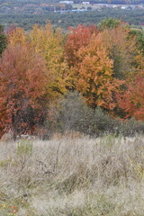Autumn foliage in Central Massachusetts