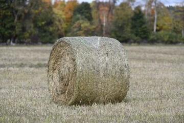 Hay Roll in a Field