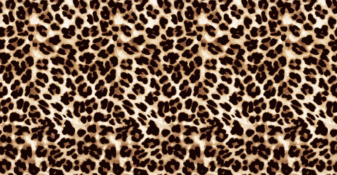 new leopard pattern abstract design, animal pattern
