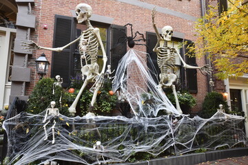 Halloween Decor