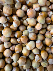 hazelnuts structure
