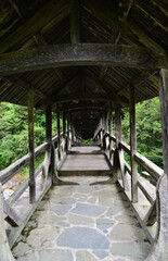 The Historical Buzlupinar Bridge in Cayeli, Rize, Turkey was built of wood by the Ottomans in the 19th century.