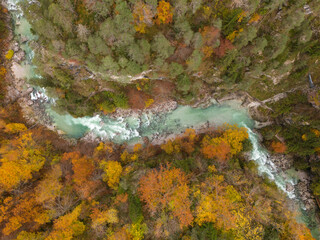 A river flowing through the autumn forest