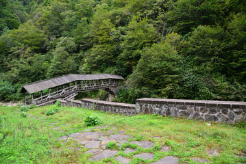 The Historical Buzlupinar Bridge in Cayeli, Rize, Turkey was built of wood by the Ottomans in the 19th century.