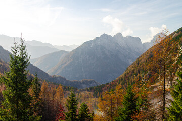 The look from Vršič, Kranjska Gora, in autumn, brown leaves.
