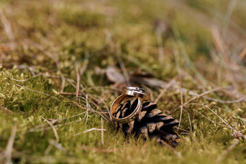 Elegant Wedding Rings Resting on Pinecone amidst Natural Greenery