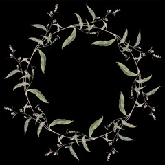 Fototapeta premium Round floral frame with blooming branches of Polygonum plant. Botanical border. Wreath of Knotweed or Smartweed flowers. On black background.