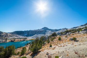 Way Up In the Alpine Tundra