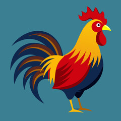 rooster isolated 