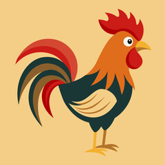 rooster isolated on white