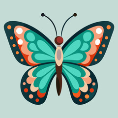 butterfly on white background