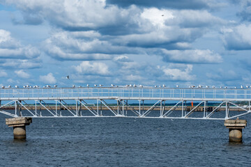 Fototapeta premium Seagulls perched on a white metal pier overlooking a calm body of water under a cloudy sky in the late afternoon