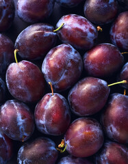 Plum fruit, Creative background design with food theme, focus on the pile of fresh Plum fruit