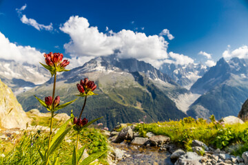 The Petit Dru mountain summit displays rugged peaks and rocky formations against clear sky. Rocky...