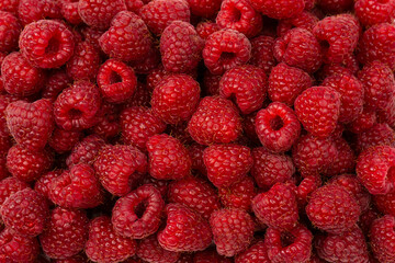 Tasty fresh raspberry as a background.