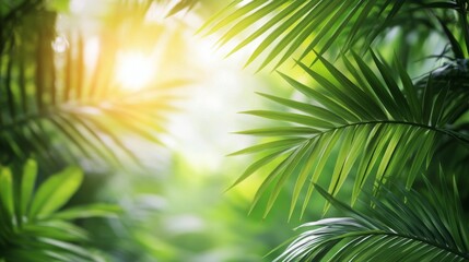 Obraz premium Lush green palm leaves glistening in sunlight against a blurred natural background