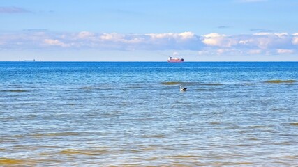 Baltic Sea. Shallow water. Calm. Vessels in the roadstead.