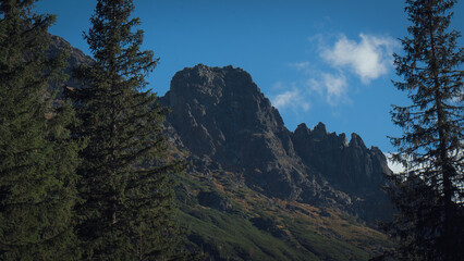 beautiful big mountains incredible nature and mysterious forest