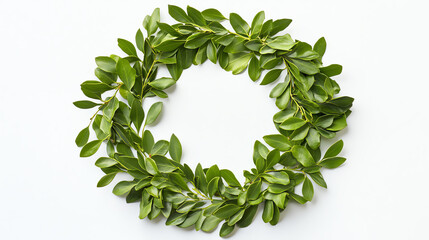 Cluster of mistletoe leaves arranged in a circular pattern on a white backdrop, studio photo