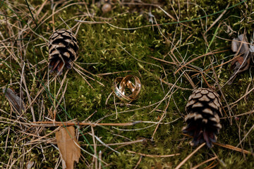 Elegant Gold Wedding Rings Nestled Among Pine Cones on Lush Moss