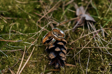 Wedding Rings Resting on a Pinecone Surrounded by Lush Green Moss