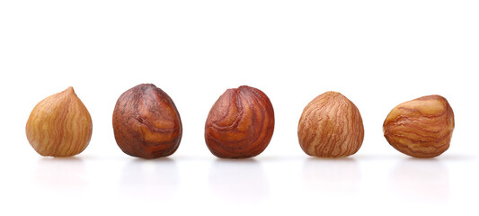Hazelnut. Beautiful nuts in a row isolated on white background.