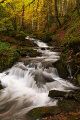 Autumn river and forest in Navarra, Spain